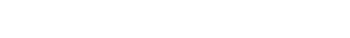 SUCCES CARS 93